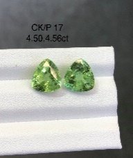 CK/P 17