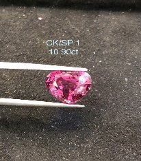 CK/SP 1