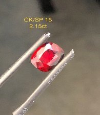 CK/SP 15