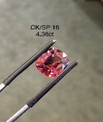 CK/SP 16