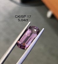 CK/SP 17