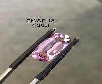 CK/SP 18