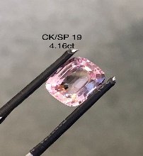 CK/SP 19