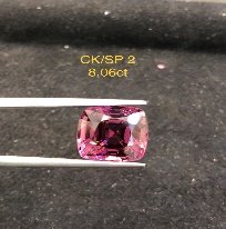 CK/SP 2