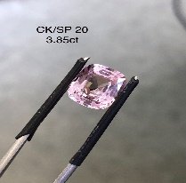 CK/SP 20