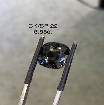 CK/SP 22