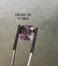 CK/SP 23