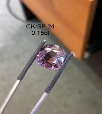 CK/SP 24