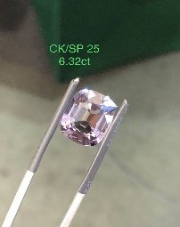 CK/SP 25