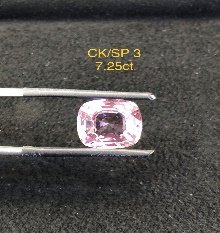 CK/SP 3