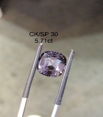 CK/SP 30