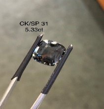 CK/SP 31