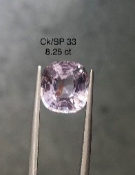 CK/SP 33