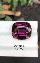 CK/SP 34