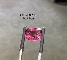 CK/SP 5