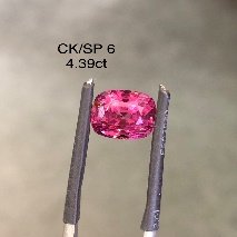 CK/SP 6