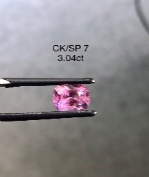 CK/SP 7