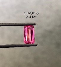 CK/SP 8