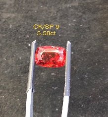 CK/SP 9
