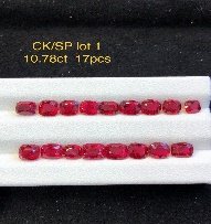 CK/SP Lot 1