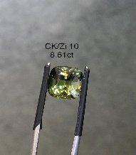 CK/Zi 10
