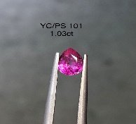 YC/PS 101