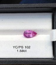 YC/PS 102