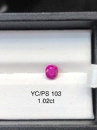YC/PS 103