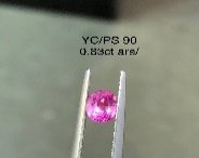 YC/PS 90