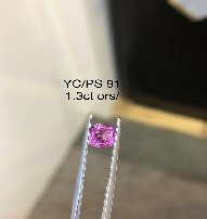 YC/PS 91