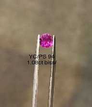 YC/PS 94