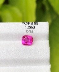 YC/PS 95