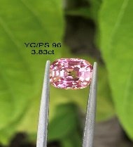 YC/PS 96
