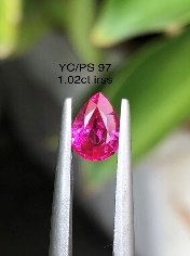 YC/PS 97