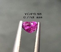 YC/PS 98