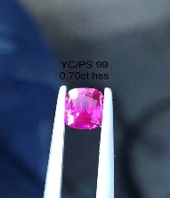 YC/PS 99