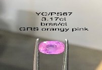 YC/PSapp67