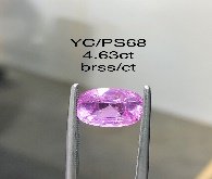 YC/PSapp68