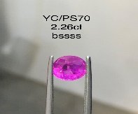 YC/PSapp70