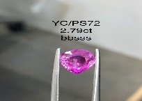 YC/PSapp72