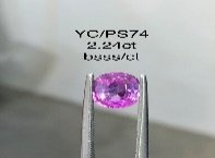 YC/PSapp74