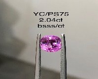 YC/PSapp75