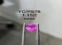 YC/PSapp78