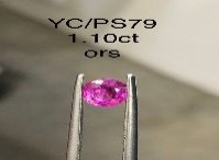 YC/PSapp79