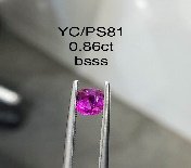 YC/PSapp81