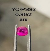 YC/PSapp82