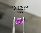YC/PSapp83