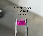 YC/PSapp85