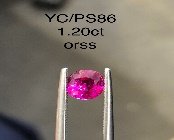 YC/PSapp86