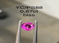 YC/PSapp88
